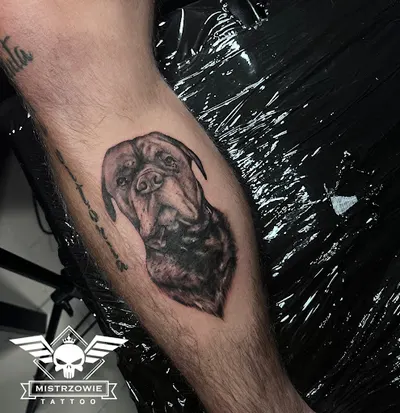 Mistrzowie Tattoo